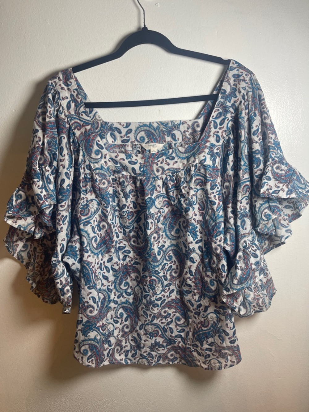 Terra & Sky Blue Paisley Ruffle-Sleeve Blouse Size: 1X